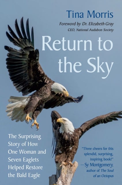 Return to the Sky - The Surprising Story of How One Woman and Seven Eaglets Helped Restore the Bald Eagle