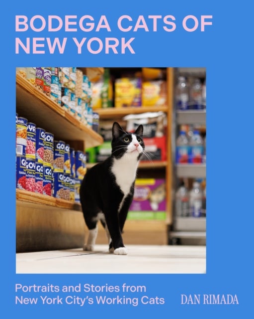Bodega Cats of New York - Portraits and Stories from New York City's Working Cats