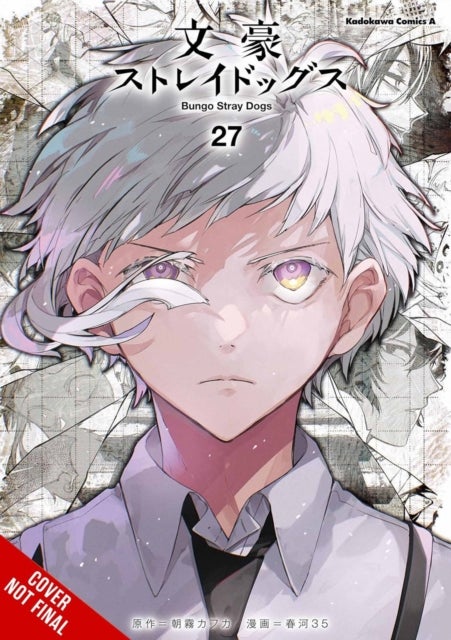 Bungo Stray Dogs, Vol. 27
