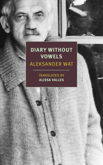 Diary Without Vowels