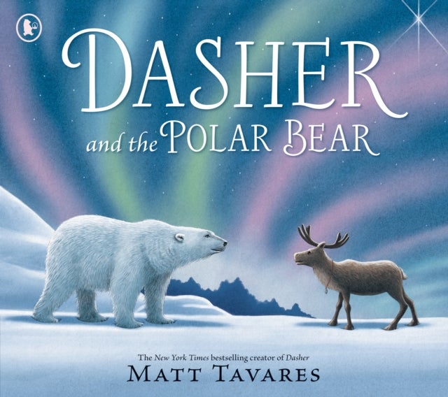 Dasher and the Polar Bear - The third Christmas classic in Matt Tavares' series starring beloved reindeer Dasher, full of festive wonder for ages 3-7