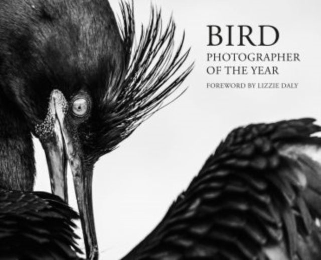 Bird Photographer of the Year 2026