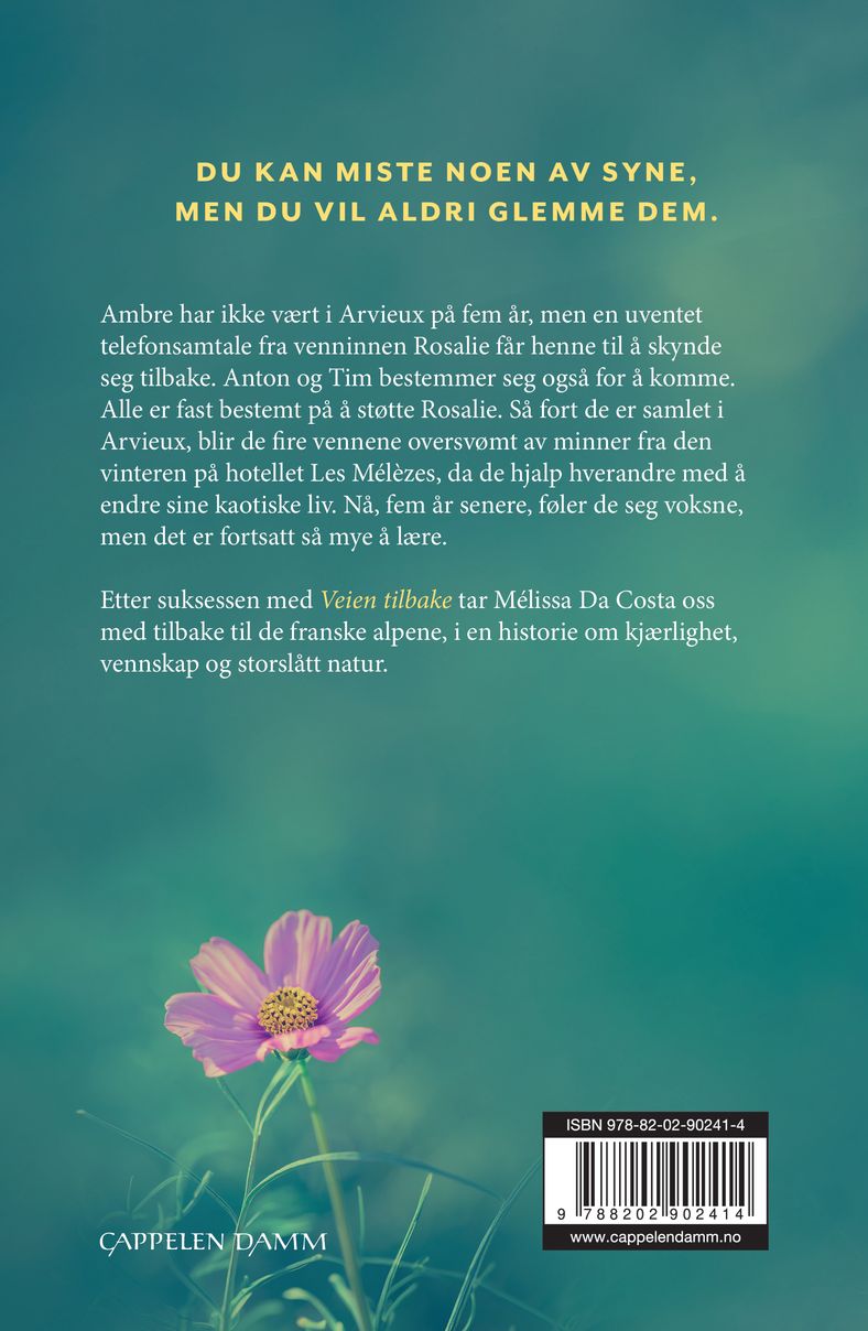 Det usynlige savnet