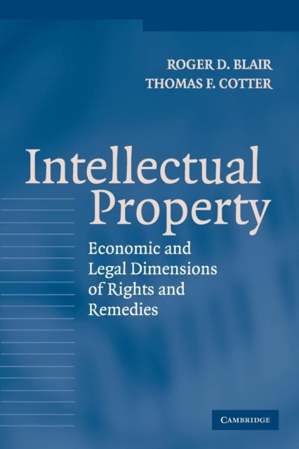 Intellectual Property - Economic and Legal Dimensions of Rights and Remedies