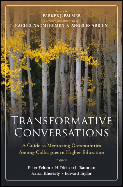Transformative Conversations - A Guide to Mentoring Communities Among Colleagues in Higher Education