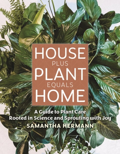 House Plus Plant Equals Home