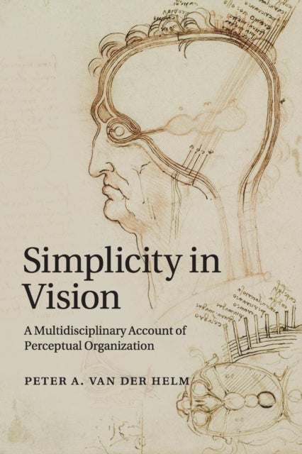Simplicity in Vision - A Multidisciplinary Account of Perceptual Organization