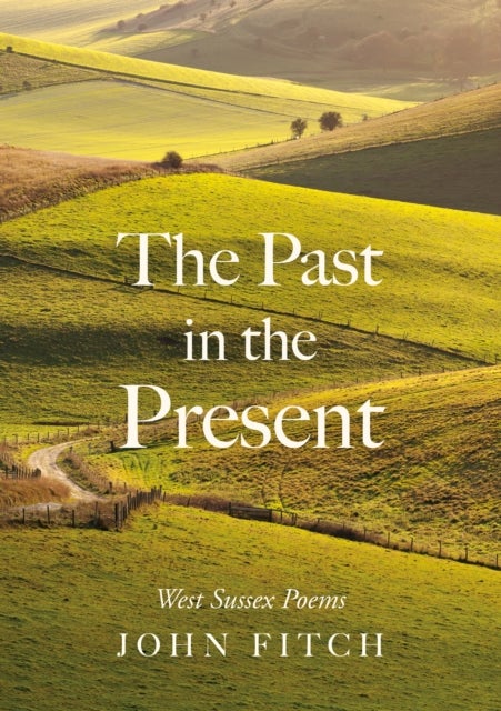 The Past in the Present - West Sussex Poems