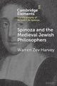 Spinoza and the Medieval Jewish Philosophers