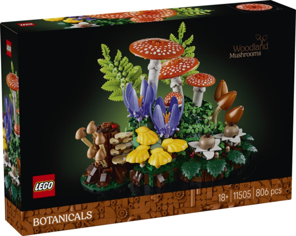 Lego Skogsopp 11505