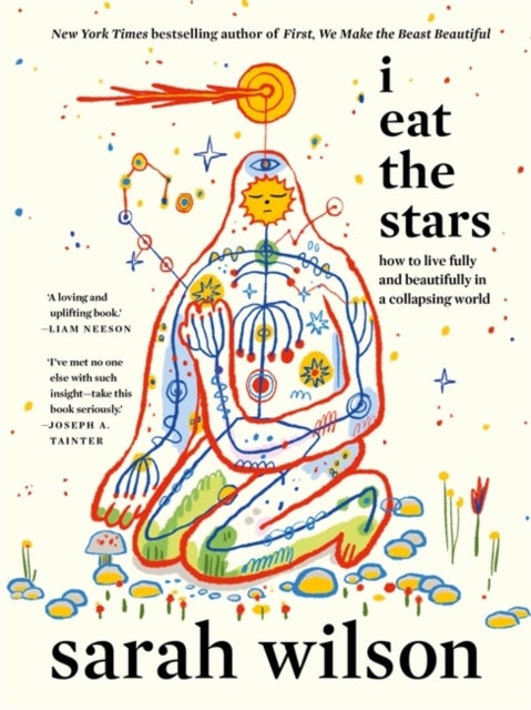 I Eat the Stars - How to Live Fully and Beautifully in a Collapsing World
