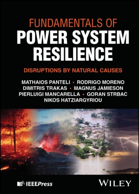Fundamentals of Power System Resilience - Disruptions by Natural Causes