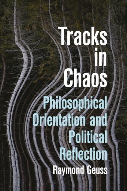 Tracks in Chaos - Philosophical Orientation and Political Reflection