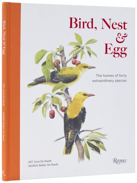 Bird, Nest & Egg - The Homes of Forty Extraordinary Species