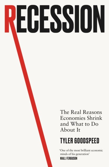 Recession - The Real Reasons Economies Shrink and What to Do About It