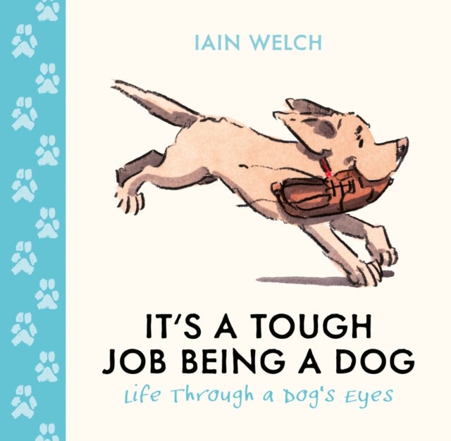 It's a Tough Job Being a Dog - Life Through a Dog’s Eyes