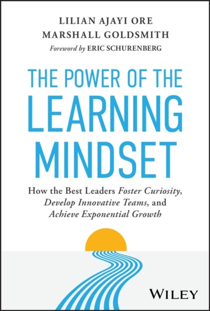 The Power of the Learning Mindset - How the Best Leaders Foster Curiosity, Develop Innovative Teams, and Achieve Exponential Growth