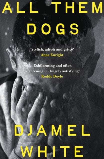 All Them Dogs - One of the most anticipated debuts of 2026: A heartbreaking literary thriller from one of Ireland's most exciting writers