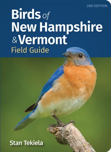 Birds of New Hampshire & Vermont Field Guide