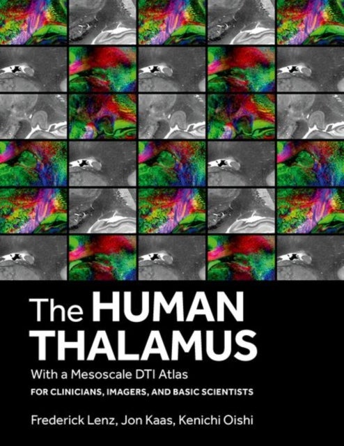 The Human Thalamus with a Mesoscale DTI Atlas - For Clinicians, Imagers and Basic Scientists