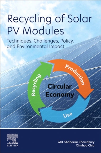 Recycling of Solar PV Modules - Techniques, Challenges, Policy, and Environmental Impact