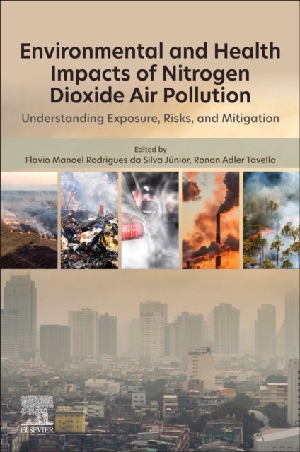 Environmental and Health Impacts of Nitrogen Dioxide Air Pollution - Understanding Exposure, Risks, and Mitigation