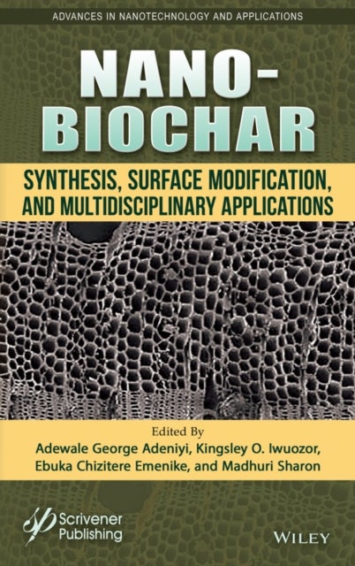Nano-Biochar - Synthesis, Surface Modification, and Multidisciplinary Applications