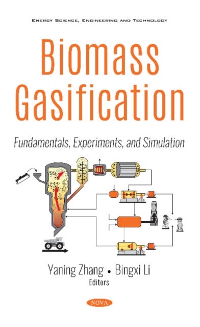 Biomass Gasification - Fundamentals, Experiments, and Simulation