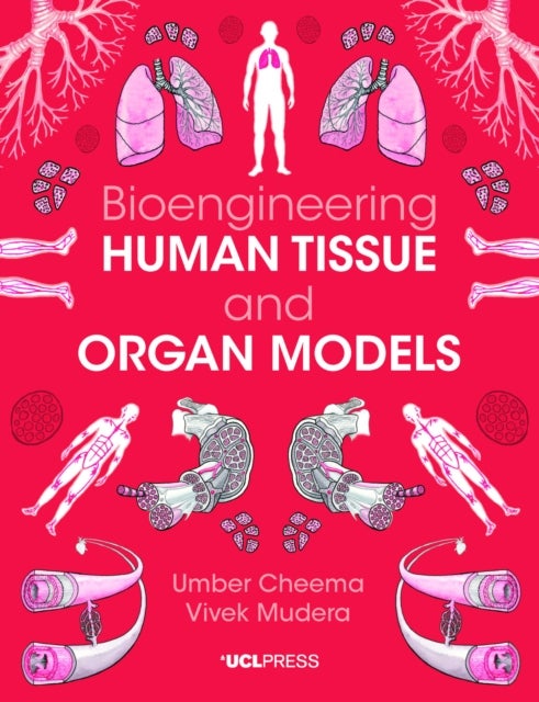Bioengineering Human Tissue and Organ Models