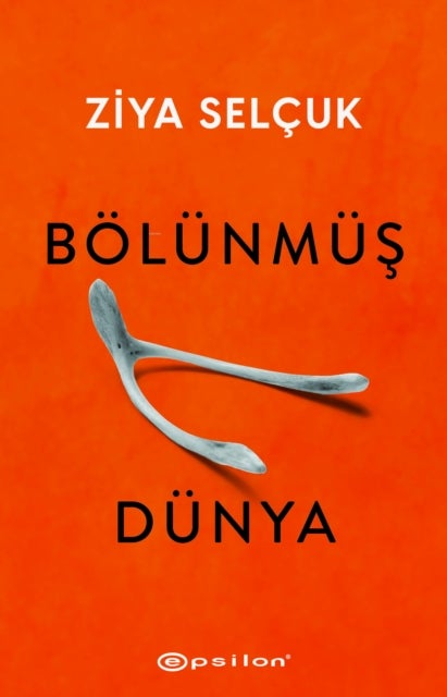 Bölünmüs Dünya