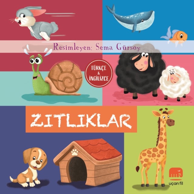 Türkçe ve İngilizce - Zıtlıklar