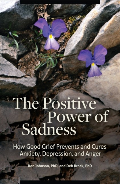 Positive Power of Sadness - How Good Grief Prevents and Cures Anxiety, Depression, and Anger