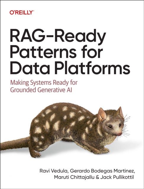 RAG-Ready Patterns for Data Platforms - Making Systems Ready for Grounded Generative AI