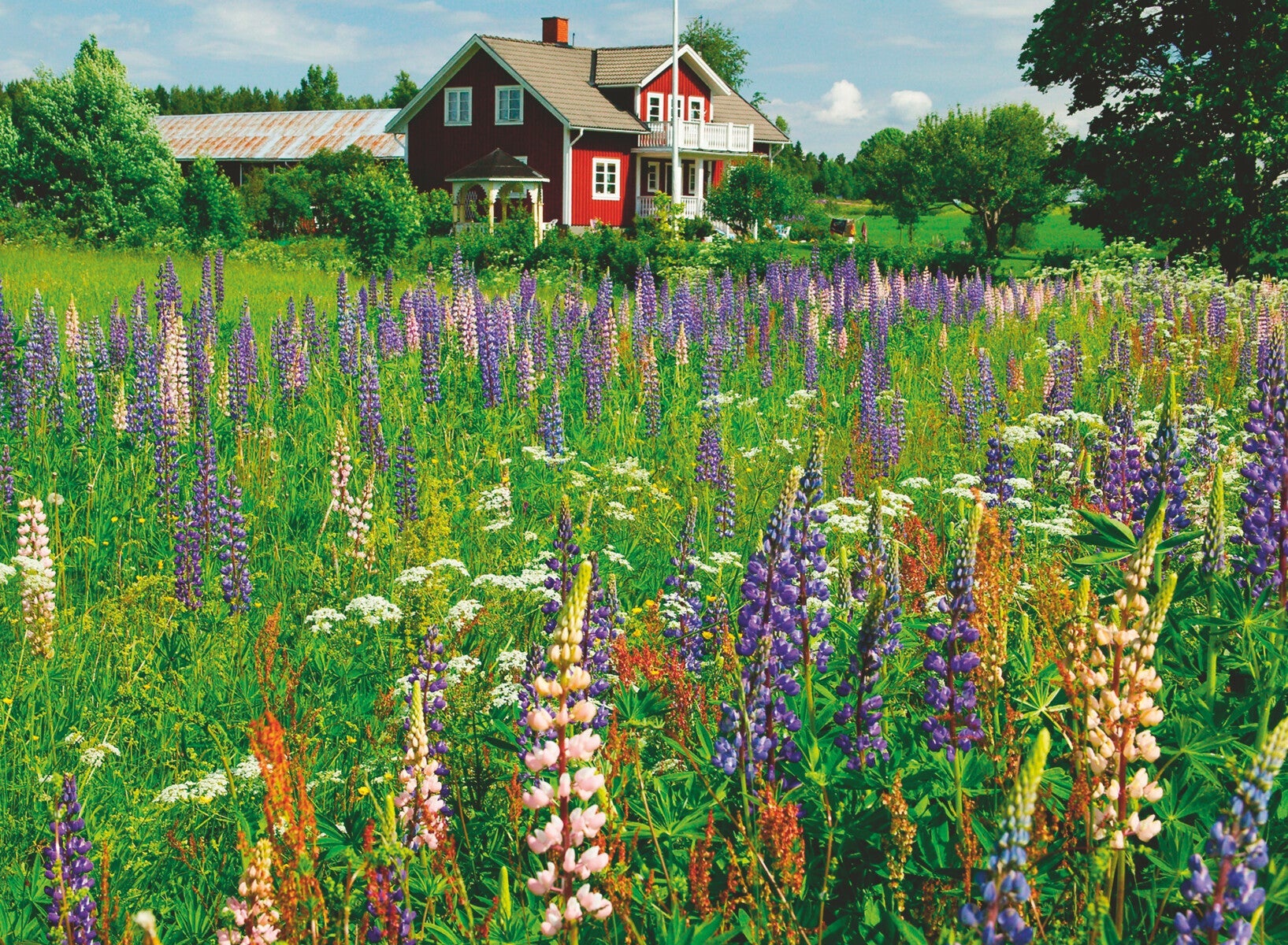 Puslespill 500 Gård I Sverige Ravensburger