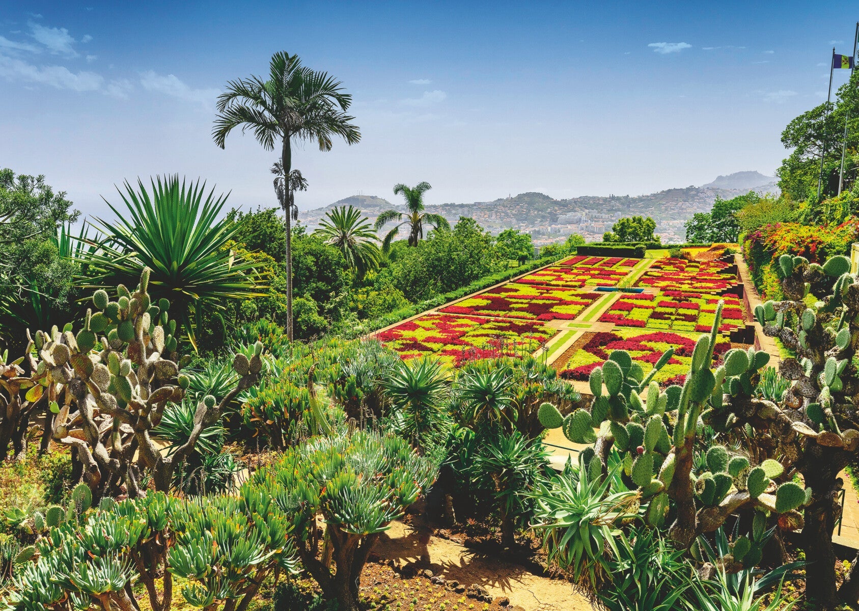 Puslespill 1000 Botanisk Hage Madeira Ravensburger