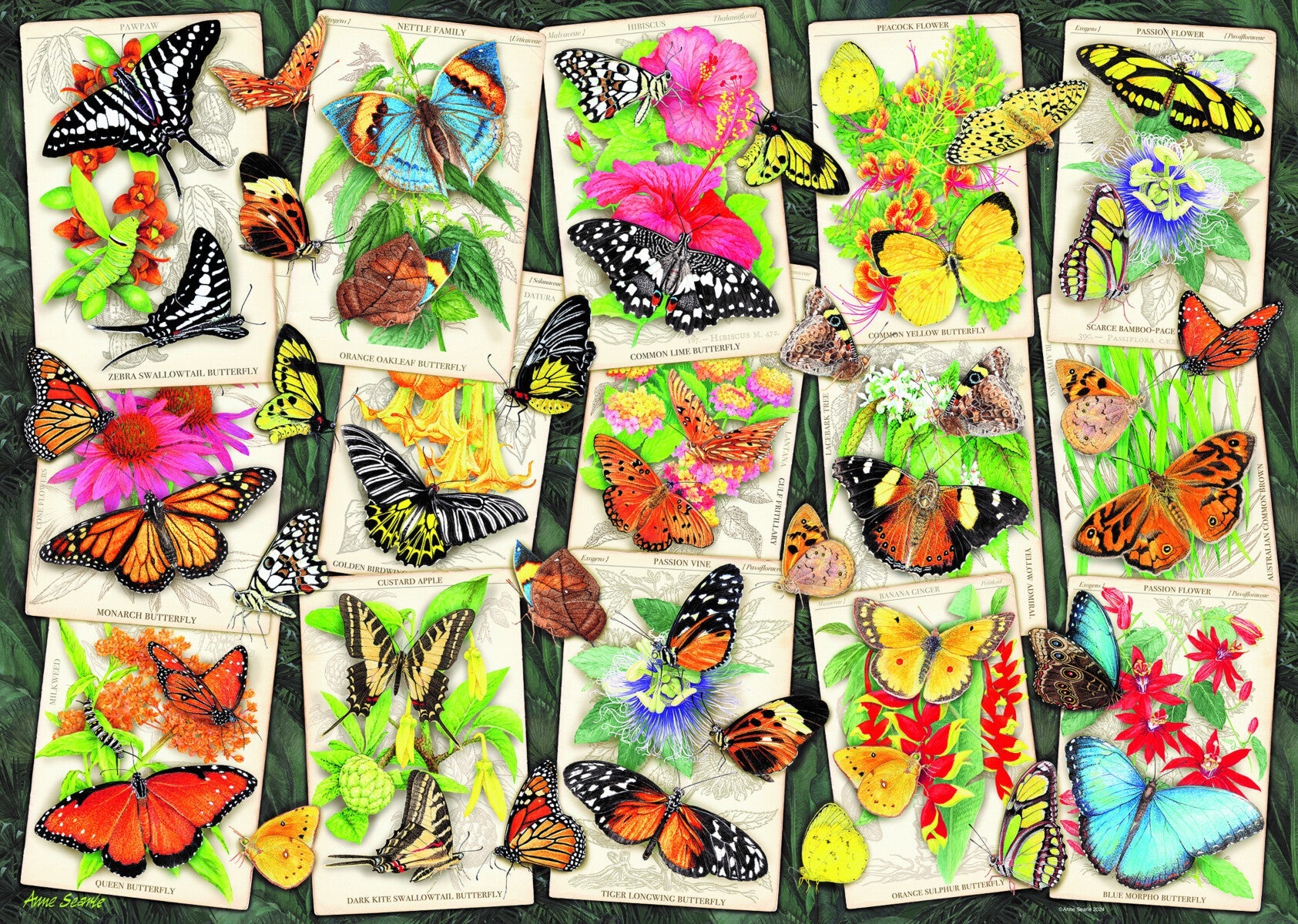 Puslespill 1000 Sommerfugl Ravensburger