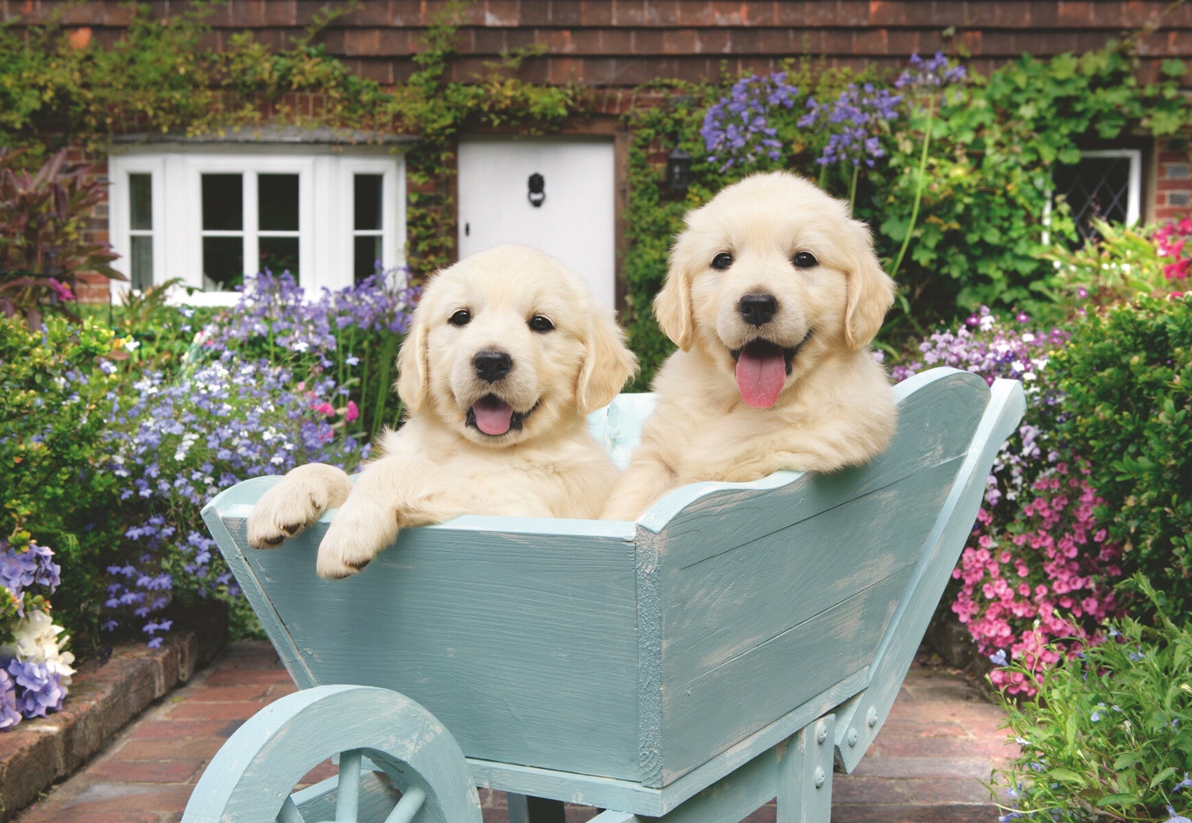 Puslespill 200 Golden Retriever Ad Ravensburger