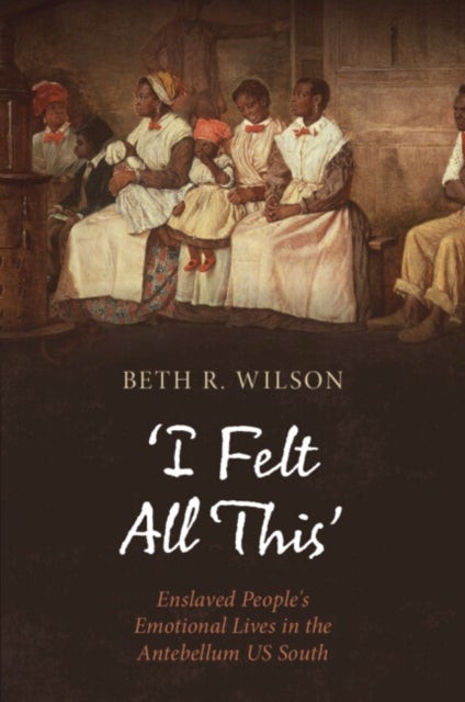 ‘I Felt All This’ - Enslaved People's Emotional Lives in the Antebellum US South