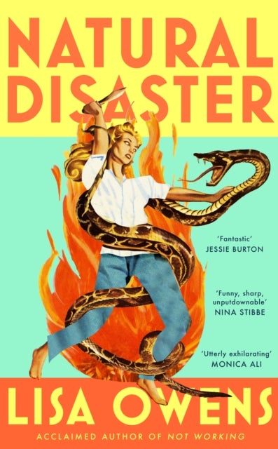 Natural Disaster - 'Mrs Dalloway meets Motherland' (The Times) in this hilariously relatable, sharply observed new novel from the author of NOT WORKING