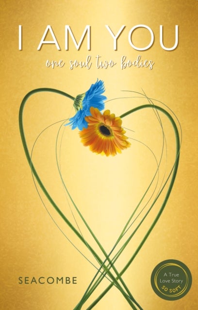 I AM YOU - One soul two bodies. A True Love Story