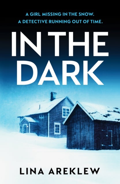 In the Dark - A gripping and atmospheric Scandi noir crime thriller for fans of Will Dean