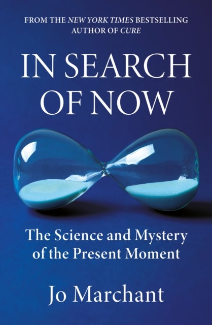 In Search of Now - The Science and Mystery of the Present Moment
