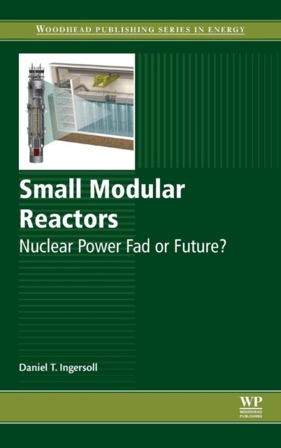 Small Modular Reactors - Nuclear Power Fad or Future?