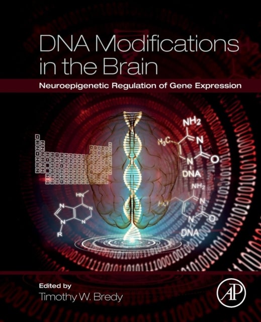 DNA Modifications in the Brain - Neuroepigenetic Regulation of Gene Expression