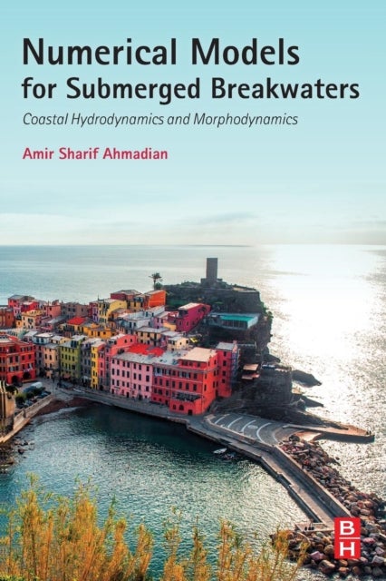 Numerical Models for Submerged Breakwaters - Coastal Hydrodynamics and Morphodynamics