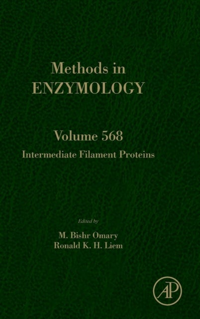Intermediate Filament Proteins