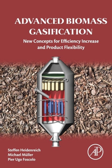 Advanced Biomass Gasification - New Concepts for Efficiency Increase and Product Flexibility