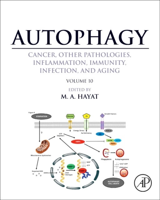 Autophagy: Cancer, Other Pathologies, Inflammation, Immunity, Infection, and Aging - Volume 10