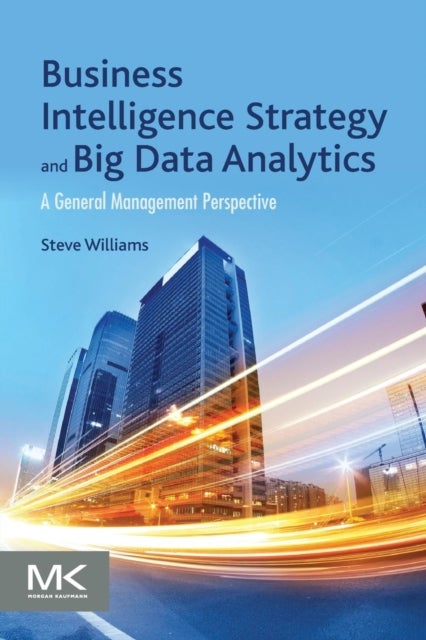 Business Intelligence Strategy and Big Data Analytics - A General Management Perspective