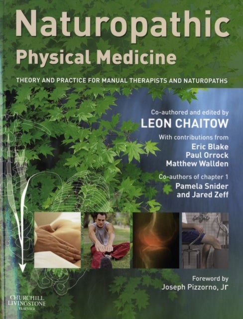Naturopathic Physical Medicine - Theory and Practice for Manual Therapists and Naturopaths